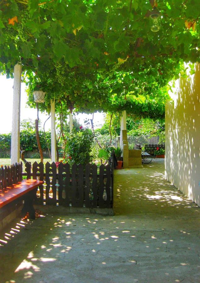 Guest House Dimi Byala  Extérieur photo